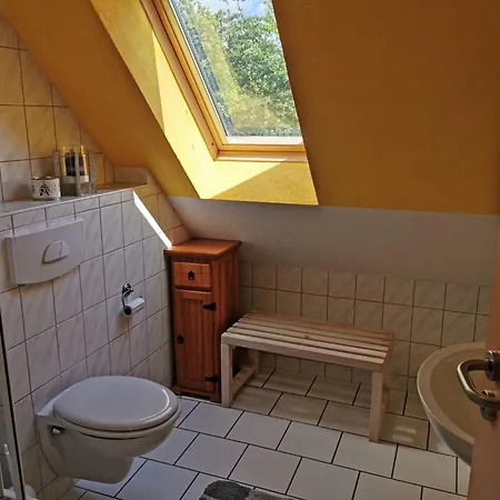Spacious In Near Apartment