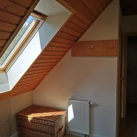 Apartment Spacious In Near *